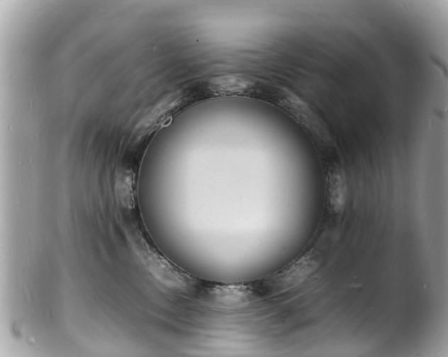 X0000100980378200807011449