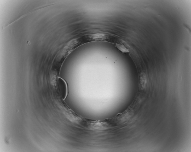 X0000100980379200807011449