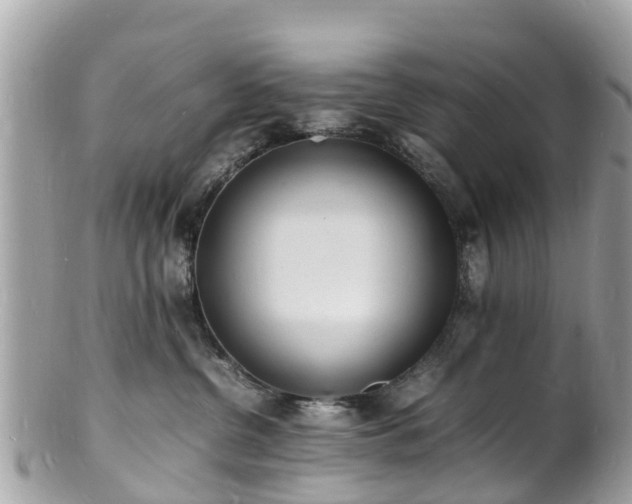 X0000100980380200807011449