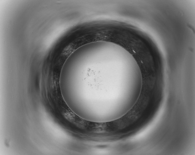 X0000100980382200807011449