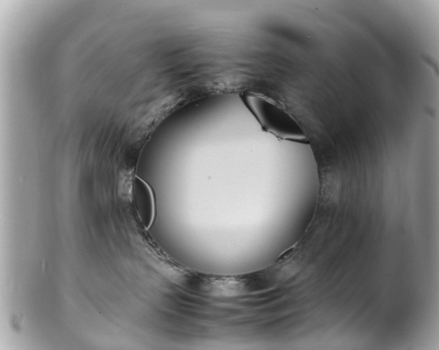 X0000100980383200807011449