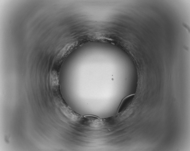 X0000100980384200807011449