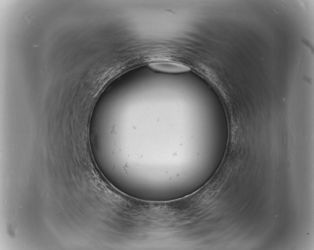 X0000100980385200807011448