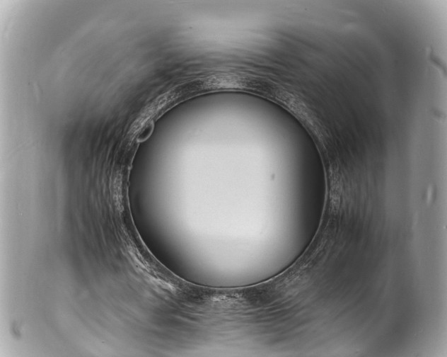 X0000100980386200807011448