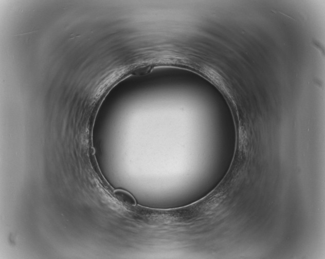 X0000100980389200807011448