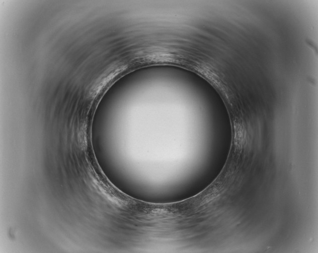 X0000100980390200807011448