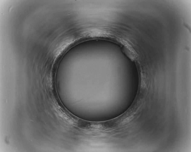 X0000100980391200807011448