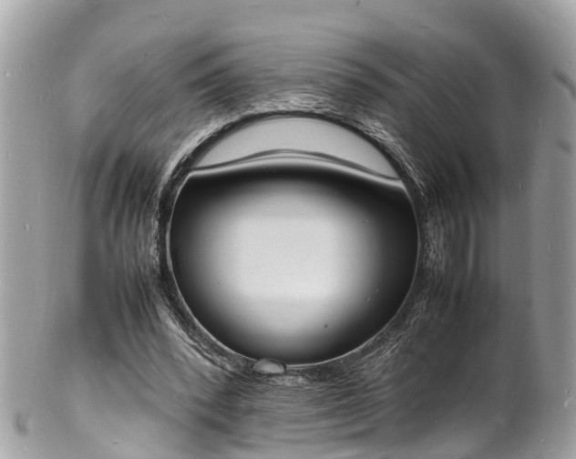 X0000100980392200807011448