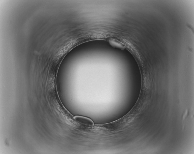 X0000100980393200807011448