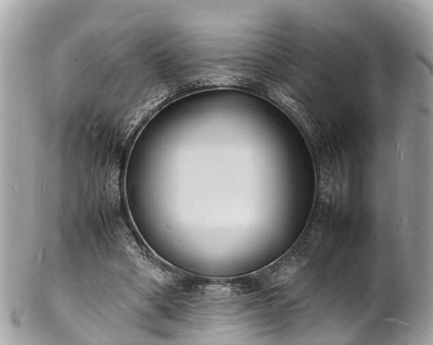 X0000100980394200807011448