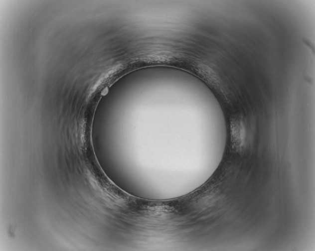 X0000100980396200807011448