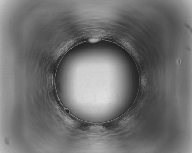 X0000100980397200807011448