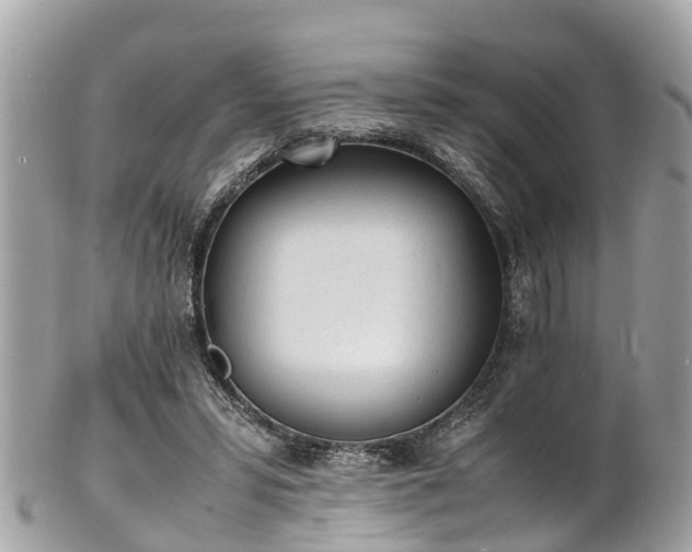 X0000100980399200807011448