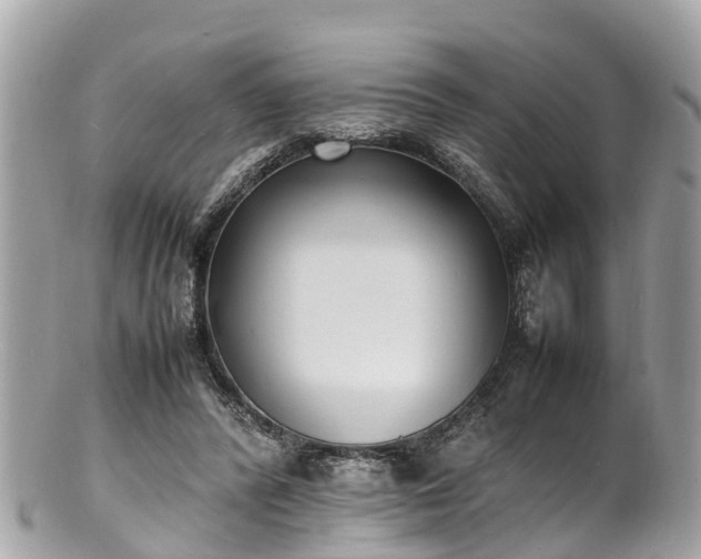 X0000100980400200807011448