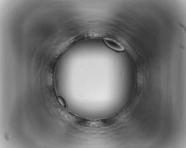 X0000100980401200807011448