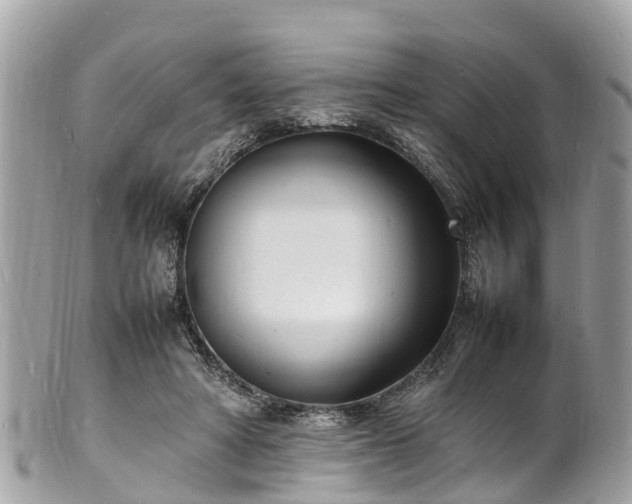 X0000100980402200807011448