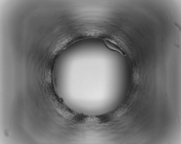 X0000100980403200807011448