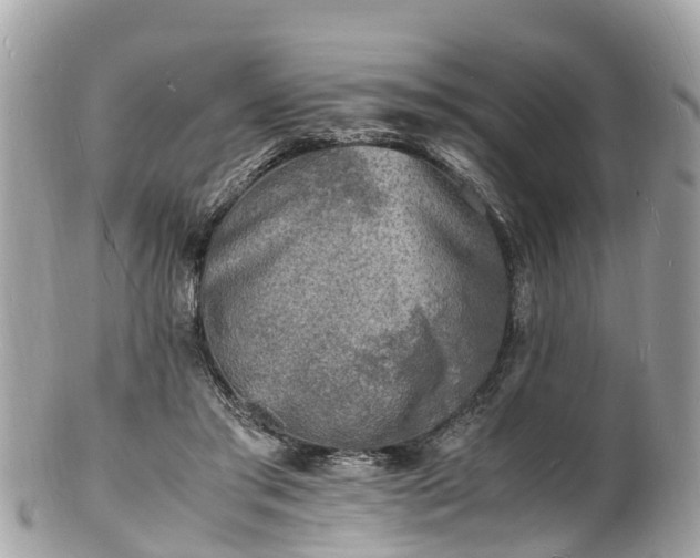 X0000100980405200807011448