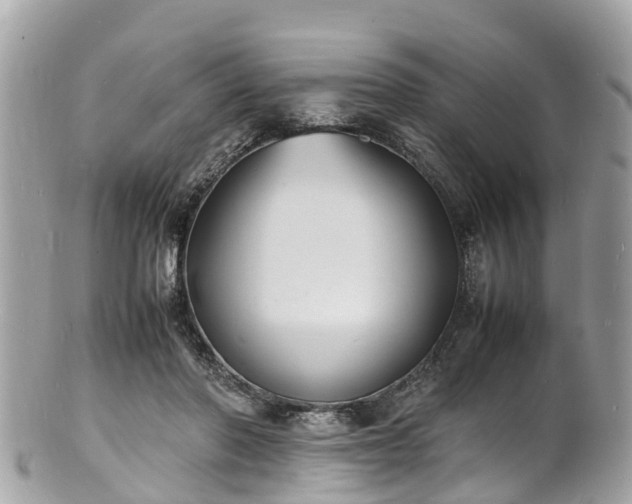 X0000100980406200807011448