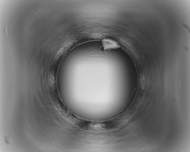 X0000100980407200807011448