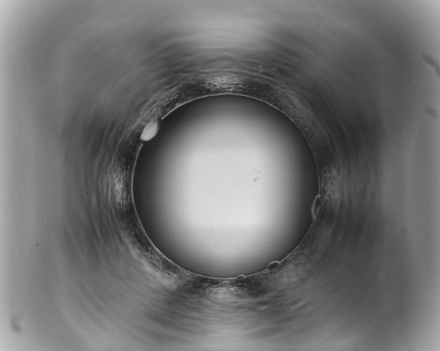 X0000100980408200807011448