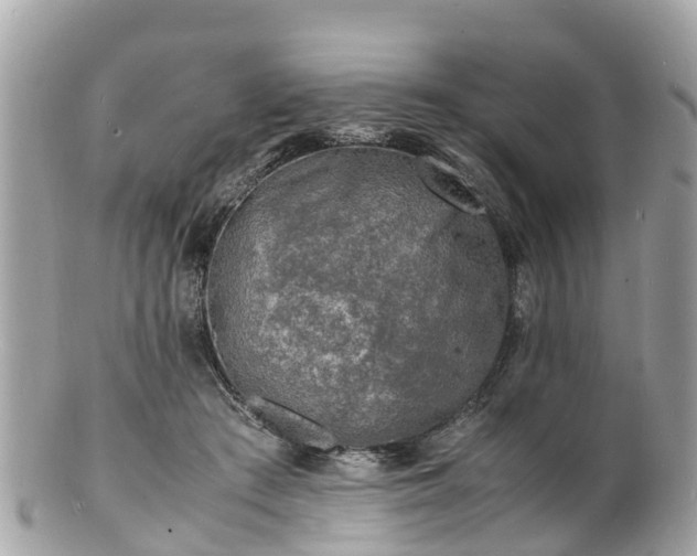 X0000100980409200807011448