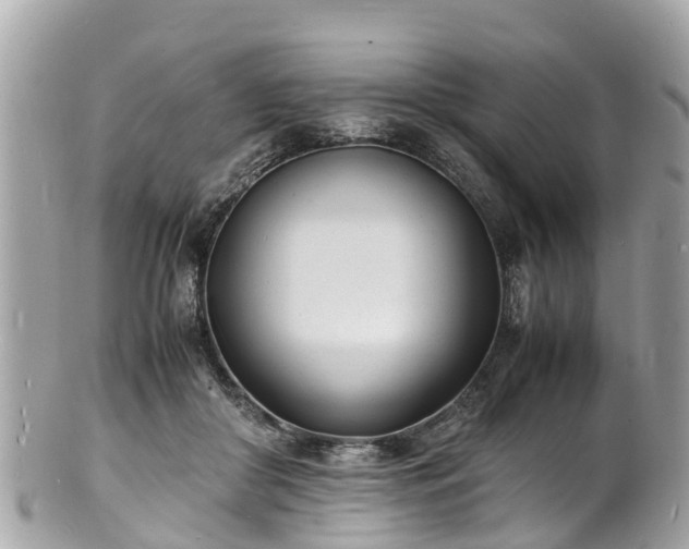 X0000100980410200807011448