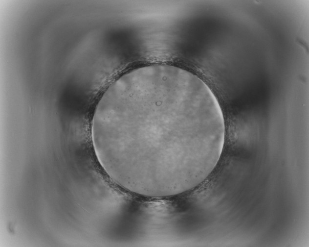 X0000100980411200807011448