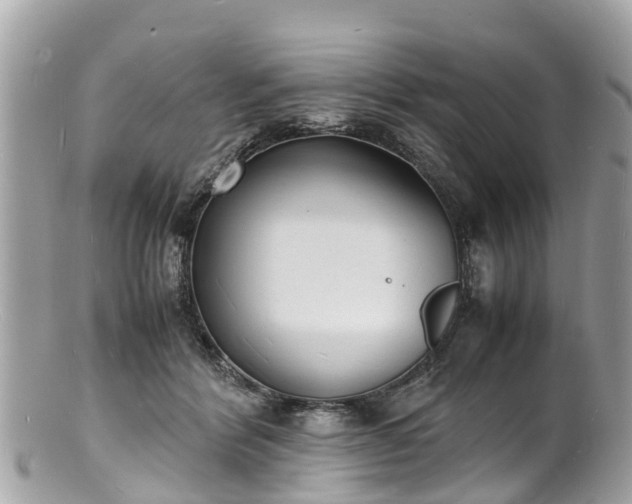 X0000100980412200807011448