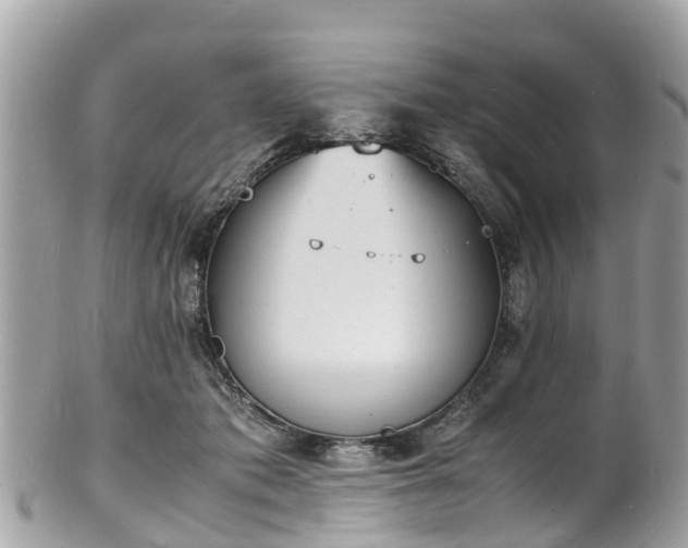 X0000100980413200807011448