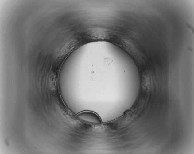 X0000100980414200807011448