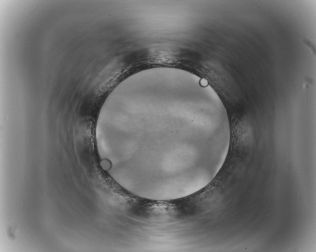 X0000100980415200807011448