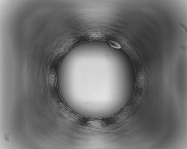 X0000100980417200807011448