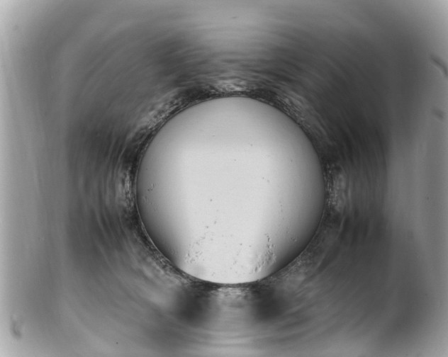 X0000100980418200807011448