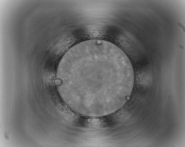 X0000100980419200807011448