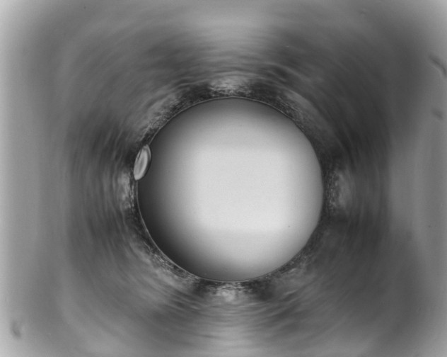 X0000100980420200807011447