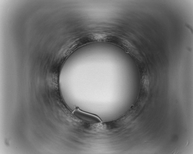 X0000100980421200807011447