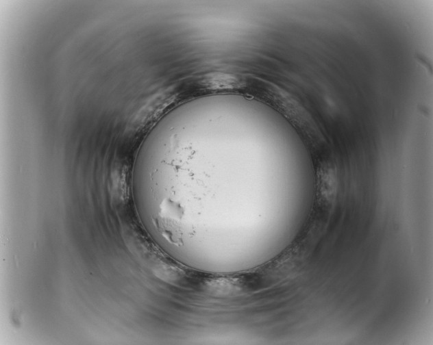 X0000100980422200807011447