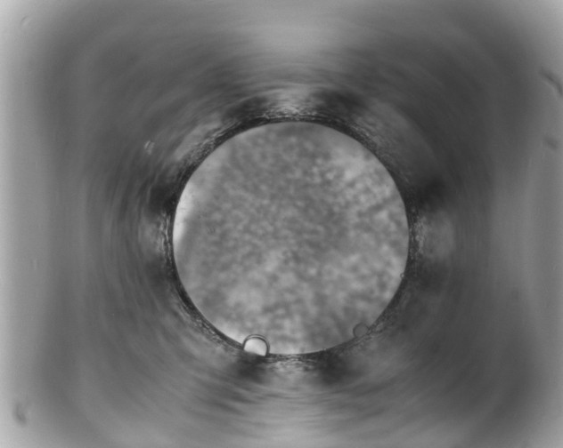 X0000100980423200807011447