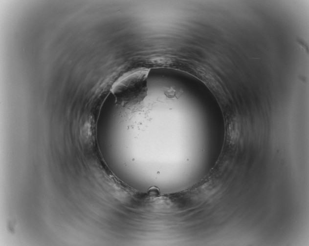 X0000100980424200807011447