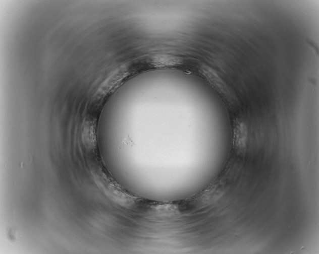 X0000100980426200807011447