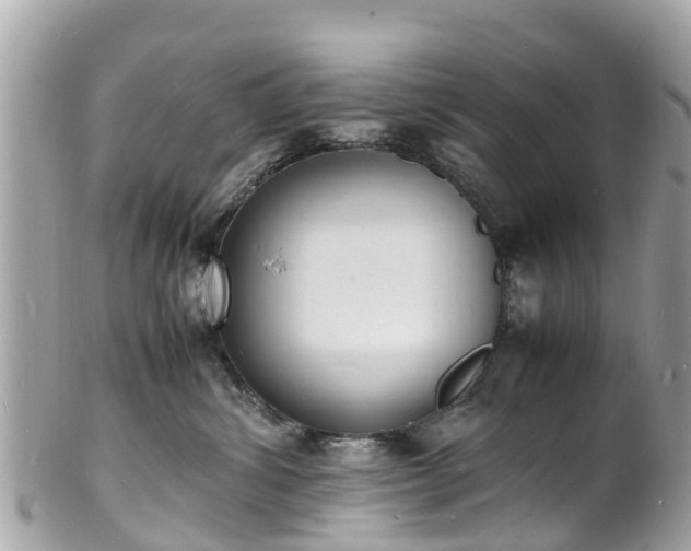 X0000100980428200807011447