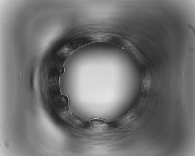 X0000100980429200807011447