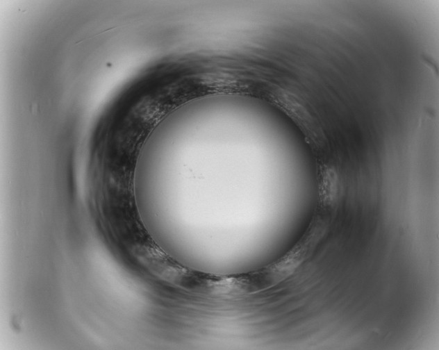 X0000100980430200807011447