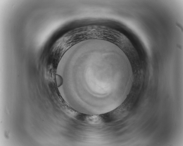 X0000100980431200807011447