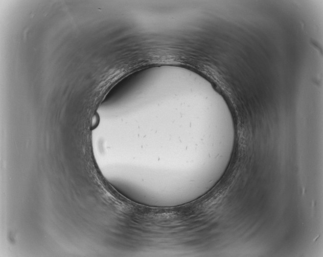 X0000100980433200807011447