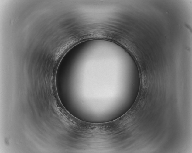 X0000100980434200807011447