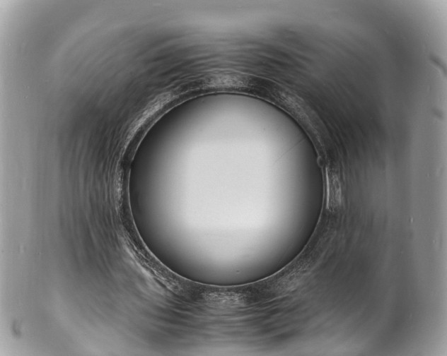 X0000100980435200807011447