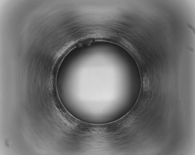 X0000100980436200807011447