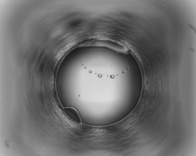 X0000100980437200807011447